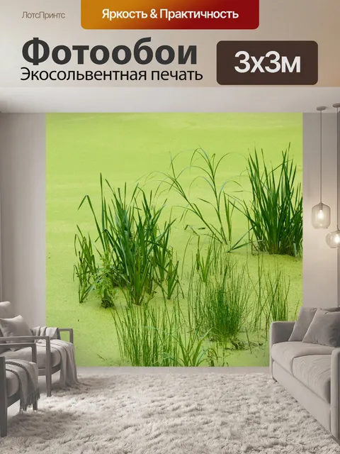 Фотообои Ряска трава пруд