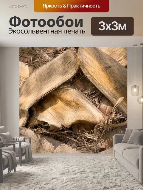 Фотообои Кора пальмы