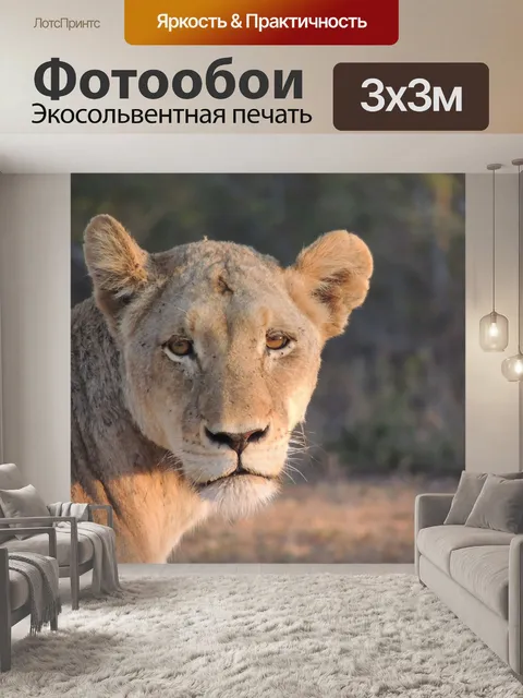 Фотообои Львица