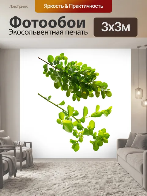 Фотообои Листья