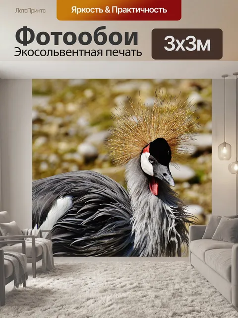 Фотообои Птица