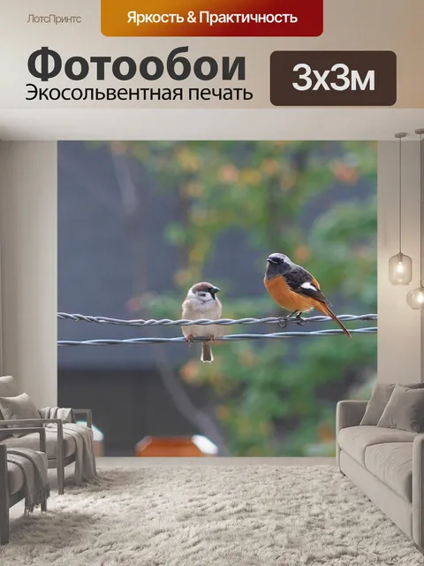 Фотообои Птицы