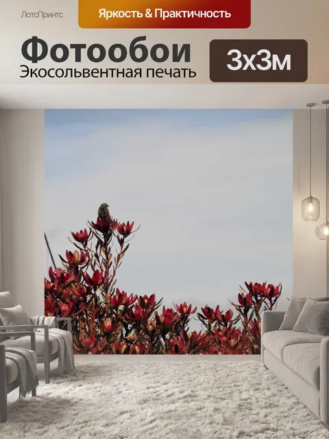 Фотообои Птица, водорослей и мост