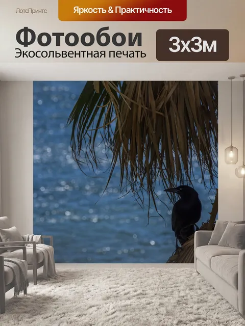 Фотообои Мина птица в пальме