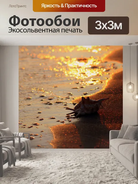 Фотообои Моллюск