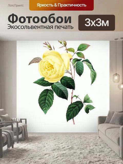 Фотообои Цветы роза винтаж старый