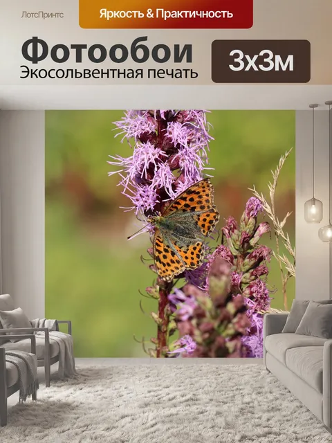 Фотообои Бабочка