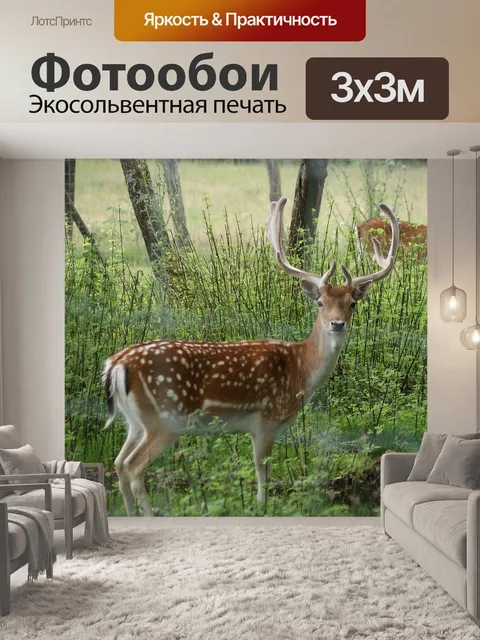 Фотообои Олень