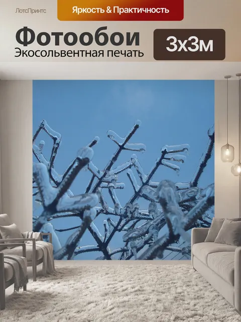 Фотообои Замороженные ветки