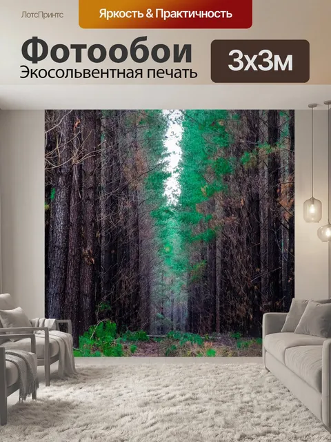 Фотообои Лес