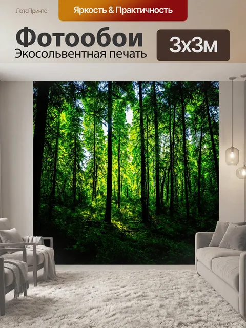 Фотообои лес с силуэтами деревьев на фоне заката
