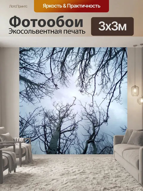 Фотообои Деревья