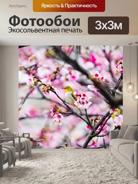 Фотообои Сакура