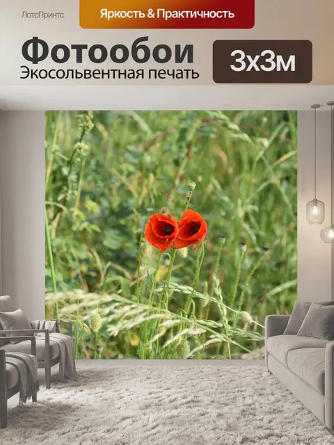 Фотообои Цветок