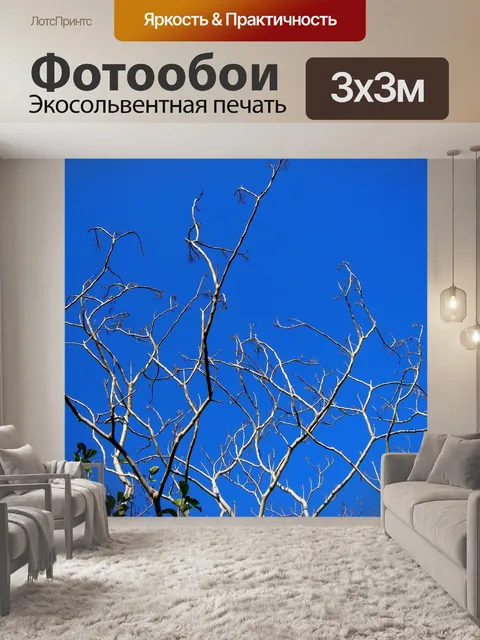 Фотообои Деревья