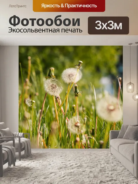 Фотообои Одуванчик
