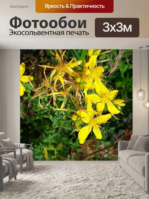 Фотообои Цветы