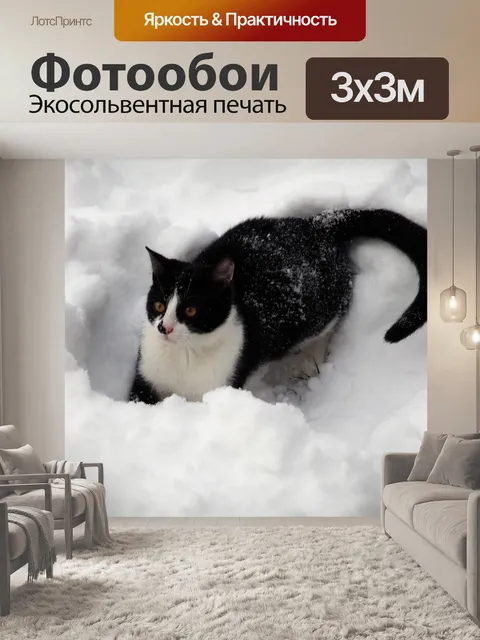 Фотообои Кот