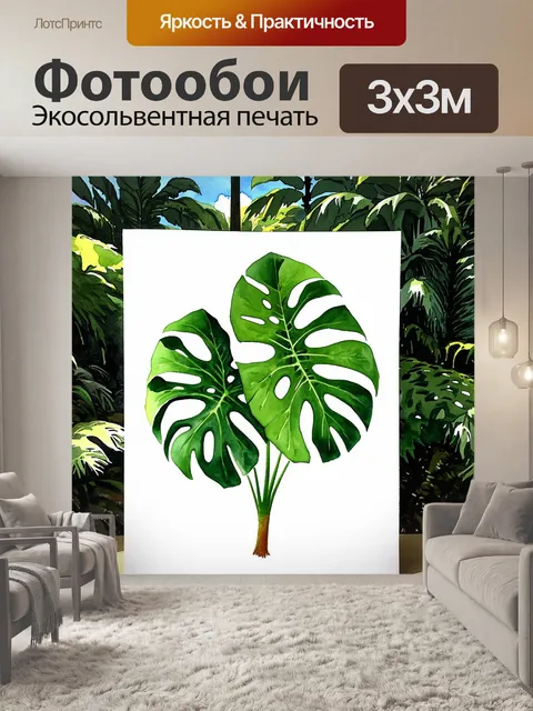 Фотообои изображение тропического растения монстера с крупными