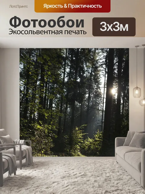 Фотообои Лес