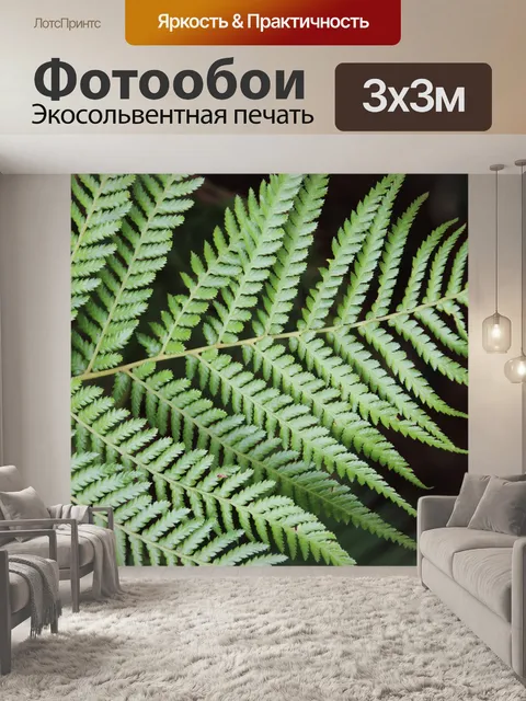 Фотообои Листья папоротника