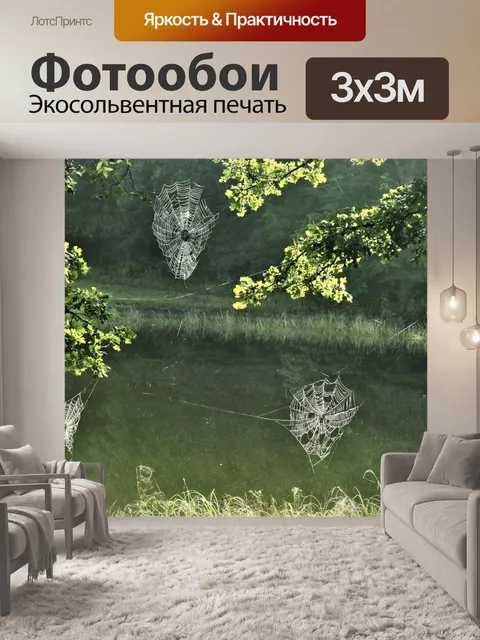 Фотообои Паутина с росой на деревьях