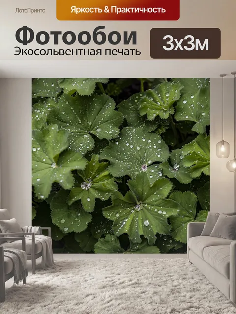 Фотообои Зеленые листья воды фон