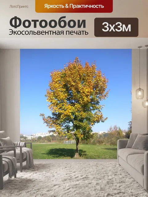 Фотообои Дерево