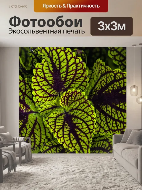 Фотообои Фон из листьев