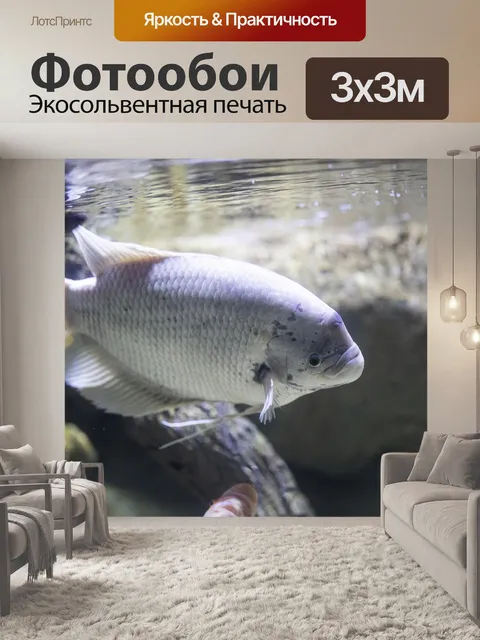 Фотообои Рыба