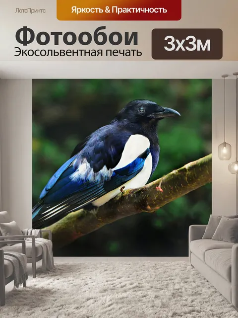 Фотообои Сорока
