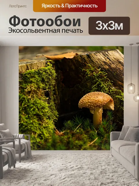 Фотообои Гриб