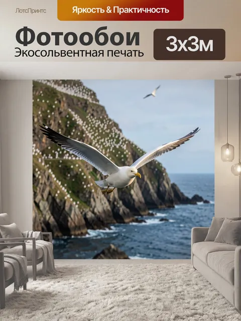 Фотообои Чайка над морским утесом