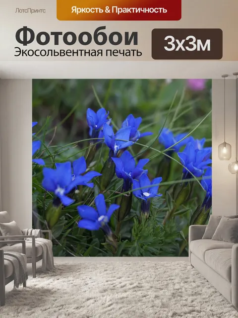 Фотообои Синие цветы