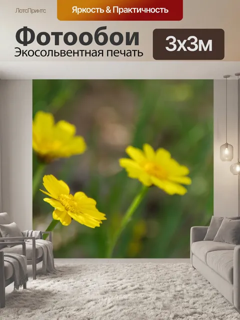 Фотообои Три ромашки