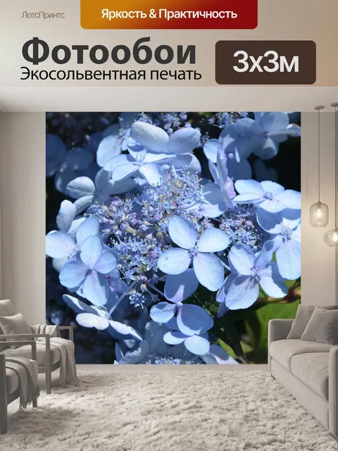 Фотообои Цветы