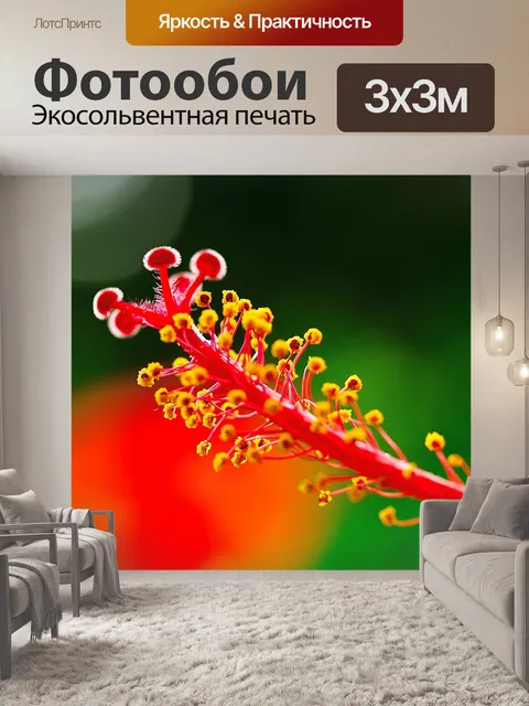 Фотообои Цветок