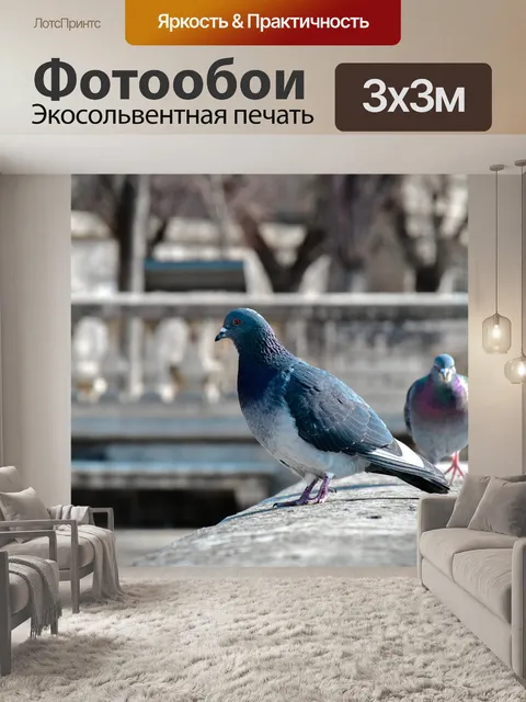 Фотообои Птица