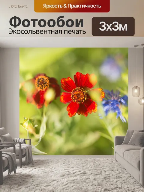 Фотообои Полевые цветы