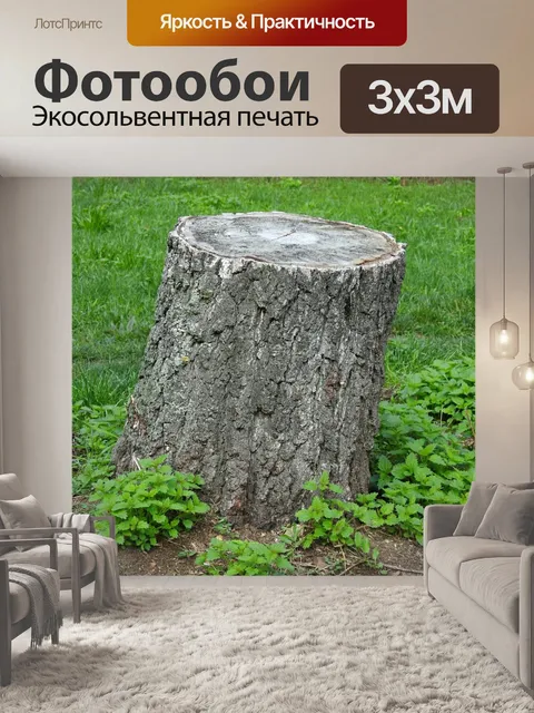 Фотообои Ствол дерева