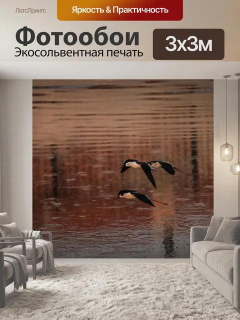 Фотообои Лебеди