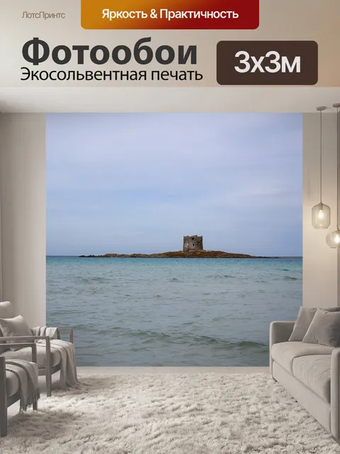 Фотообои Чайка