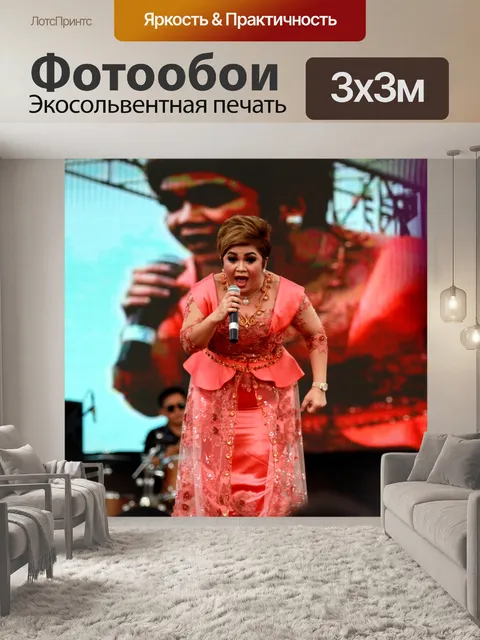 Фотообои Певец
