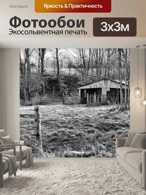 Фотообои Монохромный