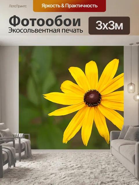 Фотообои Цветок