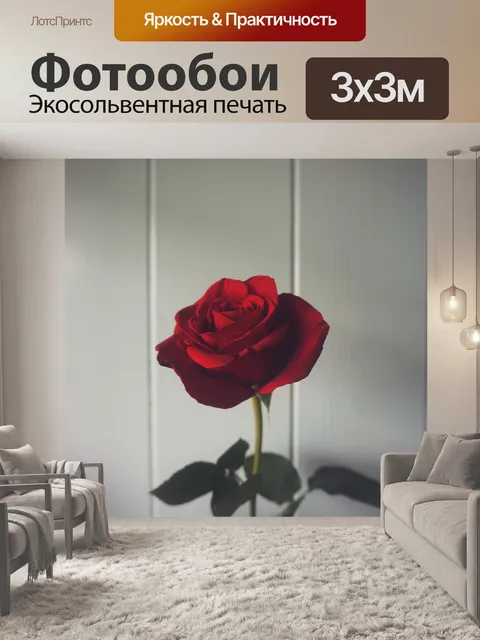 Фотообои Роза