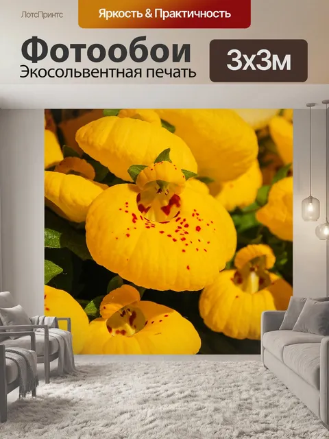 Фотообои Цветок