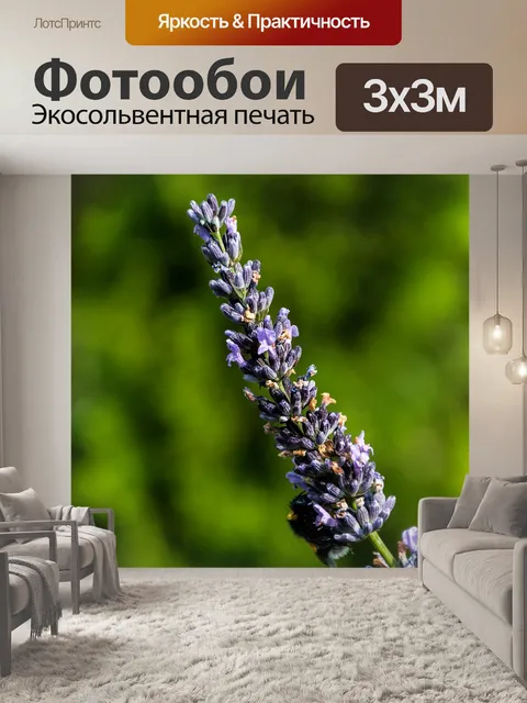 Фотообои Лаванда