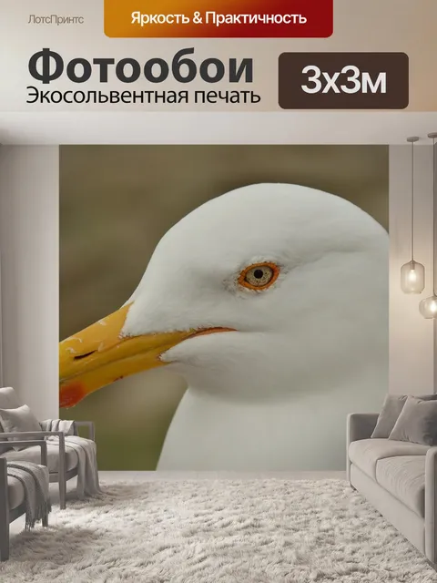 Фотообои Природа