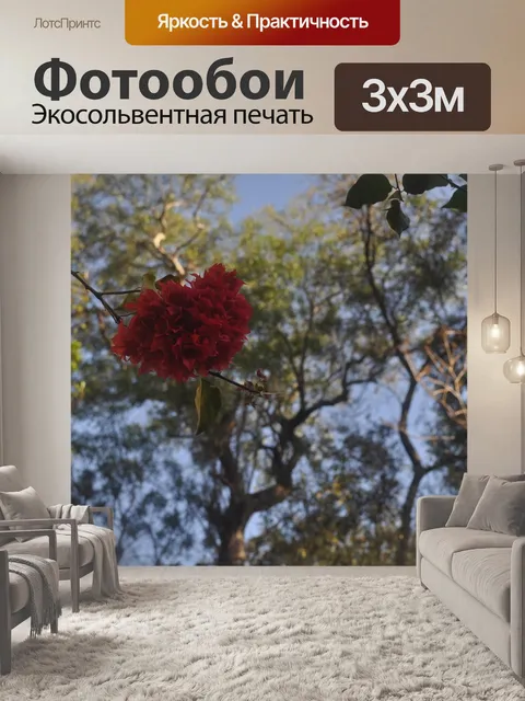 Фотообои Красный цветок